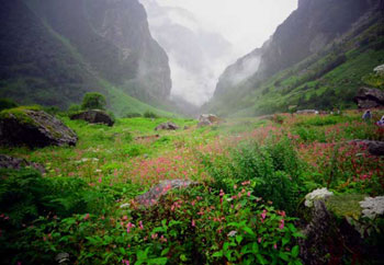 Valley of flowers and Hemkund Sahib trek is located between Garhwal Himalayas and Zanskar range in Uttarakhand. Find out trek best time, guide, map, cost